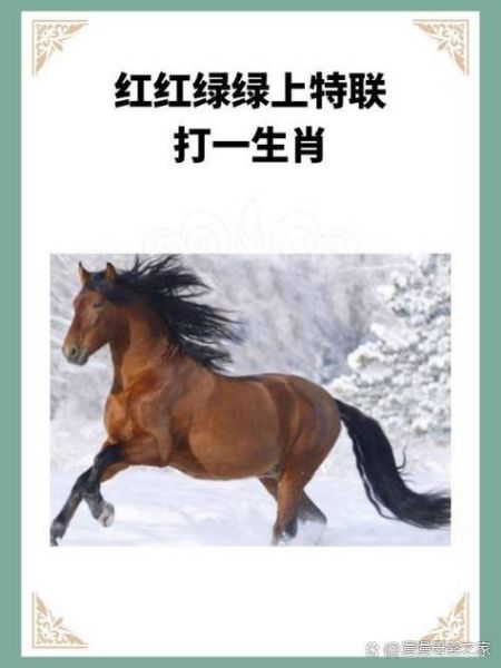 1990年属马2018年财运如何_1990年出生2018年偏财运旺吗