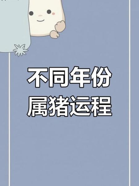 属猪2017每月运势_属猪2017年运势如何