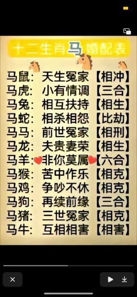 马和马生个什么属相_马马婚配孩子属什么