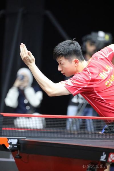 马龙属相是什么_马龙生肖年份对照表