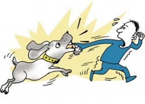 梦到大狗舔我屁股_梦境含义解析