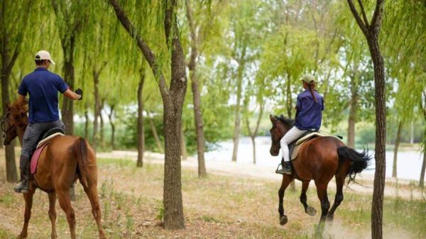 梦到老公骑马怎么回事_骑马梦境预示什么