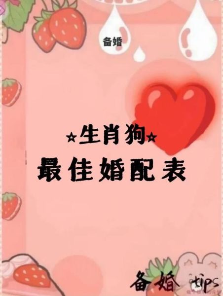 狗属相和什么属相最配_狗属相婚配禁忌 狗属相和什么属相最配_狗属相婚配禁忌