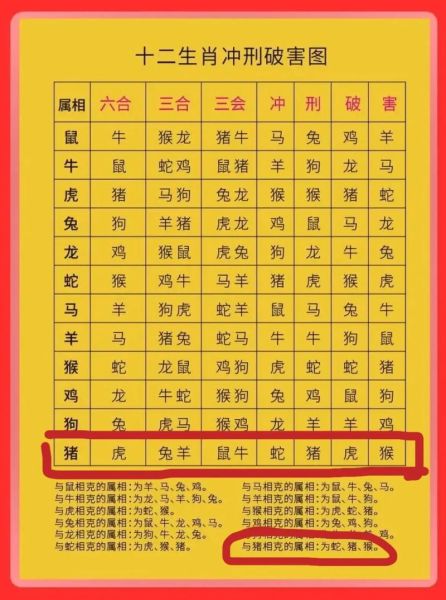 马和鸡属相合不合_马鸡配对如何化解相冲