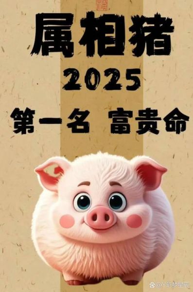 男生属猪财运好吗_属猪男一生财富运势如何 男生属猪财运好吗_属猪男一生财富运势如何