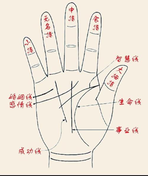 财运线上面分叉是什么意思_财运线分叉代表什么 财运线上面分叉是什么意思_财运线分叉代表什么