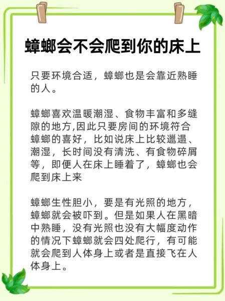 梦到家里有蟑螂是什么意思_如何消除心理阴影