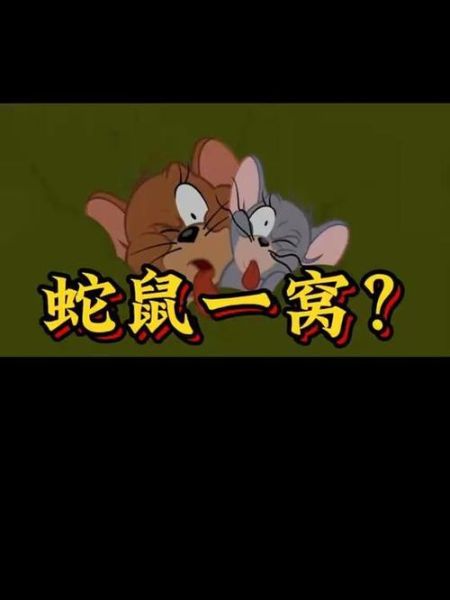 梦到蛇鼠是什么意思_周公解梦蛇鼠同现