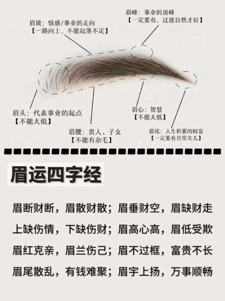 眉形与财运的关系_哪种眉形最招财