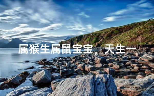 属鼠和属猴的合不合_鼠猴配对优缺点