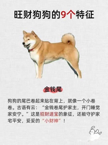 狗年今日财运位置_如何催旺正偏财