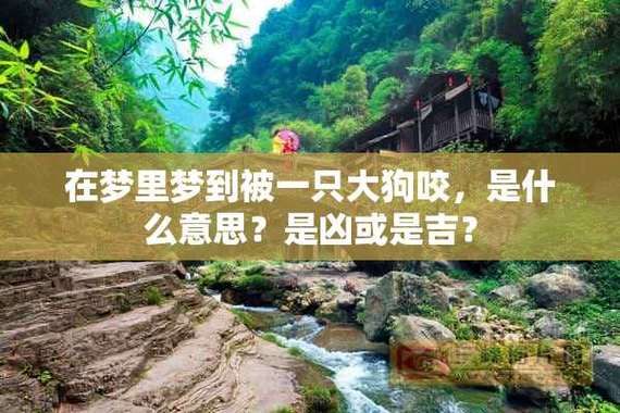梦到蛇咬死狗是什么意思_梦到蛇咬死狗预示什么