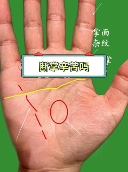 断掌纹财运_断掌纹财运好吗