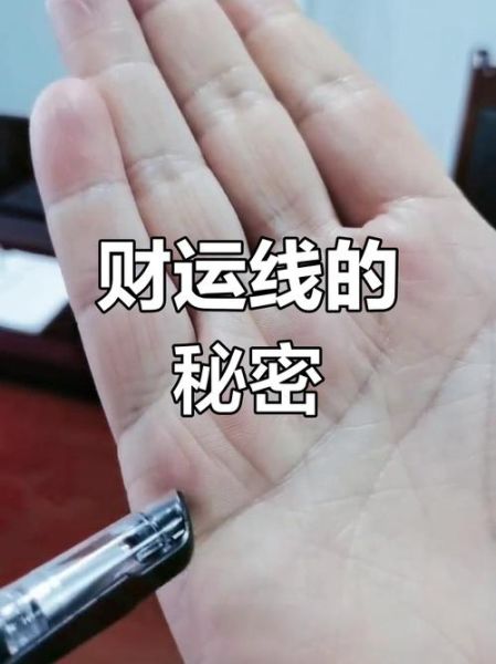 财运线起点在哪里_财运线起点怎么看