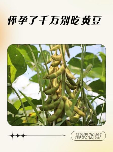 梦到吃大豆是什么意思_梦到吃大豆预示什么