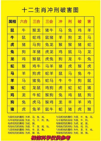 属猪的和哪个属相不合_属猪相冲相克生肖