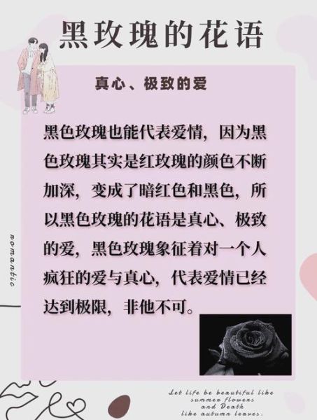 梦到黑玫瑰是什么意思_黑玫瑰梦境解析