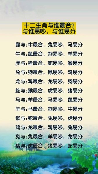 狗和兔子属相合不合_狗兔配对运势如何