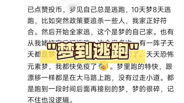 梦见自己成了逃犯_这是什么预兆