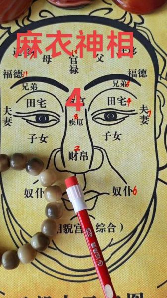麻衣神相怎么看财运_麻衣神相财运图解