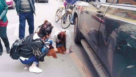 梦到亲戚被车撞死了_有什么预兆