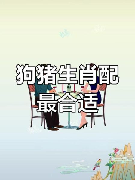 属狗和属猪的婚姻怎么样_属狗和属猪合不合财运