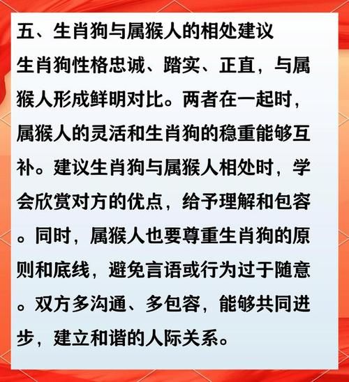 2016年属狗运势如何_属狗人猴年运程详解