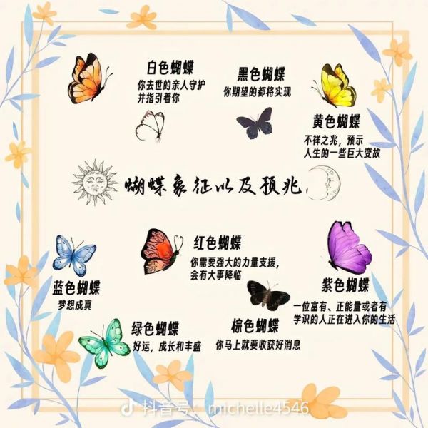 梦到蝴蝶死了_是什么预兆