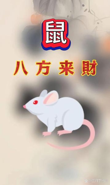 2018属鼠财运如何_2018属鼠财运提升方法