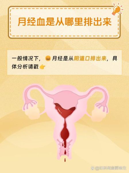 梦到月经流了很多血_意味着什么