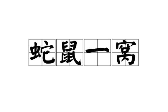 梦到蛇鼠一窝是什么意思_如何化解