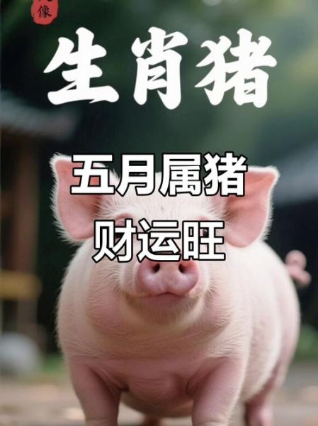 属猪6月运势如何_属猪人六月财运怎么样