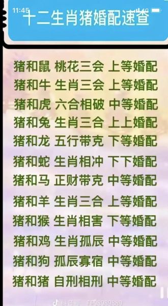 属相五行婚配_生肖五行婚配表准吗