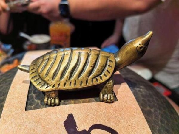 梦到王八是什么预兆_梦见王八好不好