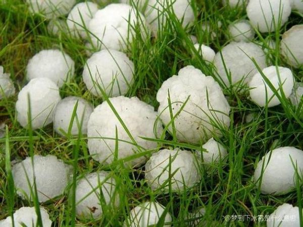 梦到下冰雹是什么意思_周公解梦原版