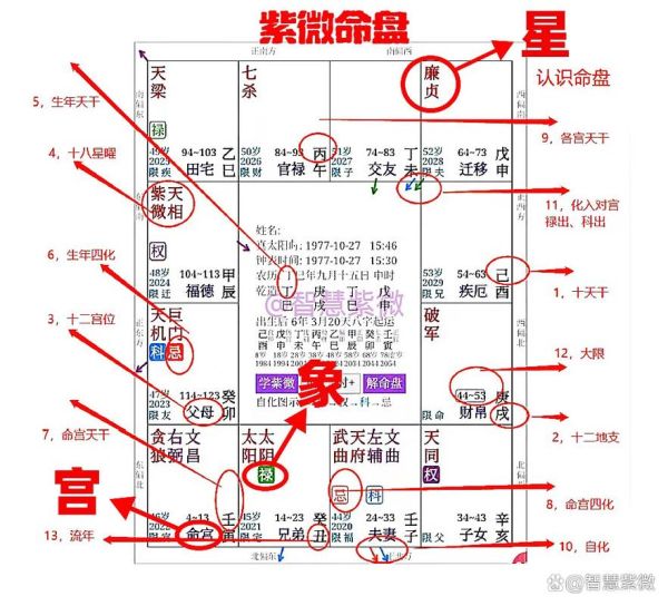 紫薇斗数怎么看财运_紫微命盘财星在哪