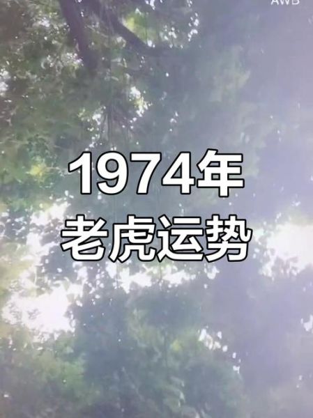 74年属虎2019年运势如何_74年属虎2019年财运好吗