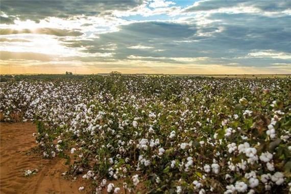 梦到爬泥是什么意思_梦见爬泥有什么预兆