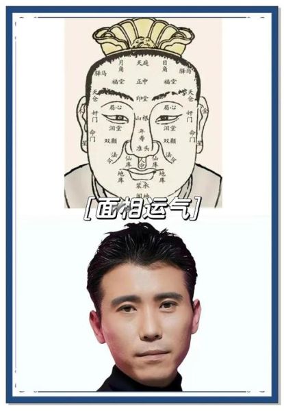 面部财运怎么看_面相招财特征有哪些
