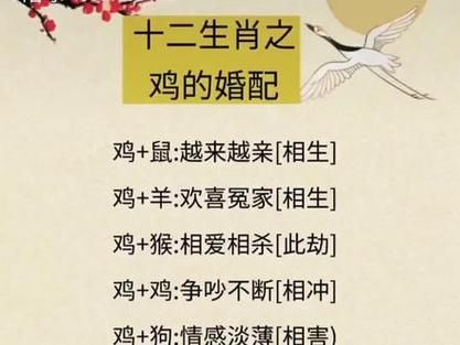 93年属鸡女和什么属相最配_最佳婚配属相分析