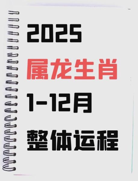 属龙人2024年运势如何_属龙人今年财运怎么样