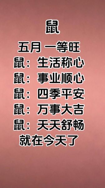 72年属鼠明天财运如何_72年属鼠明日财运走势