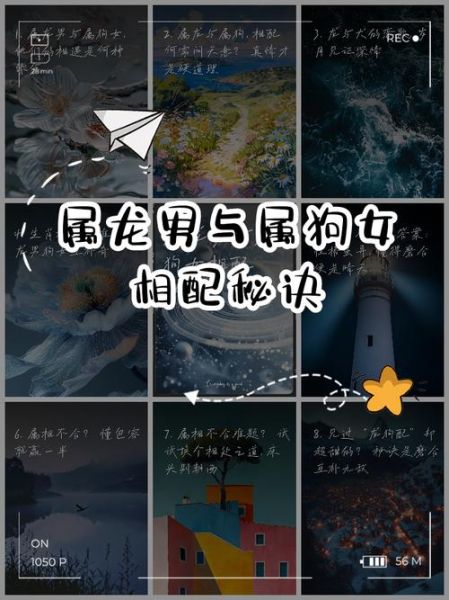 龙年结婚冲狗怎么办_龙狗相冲如何化解