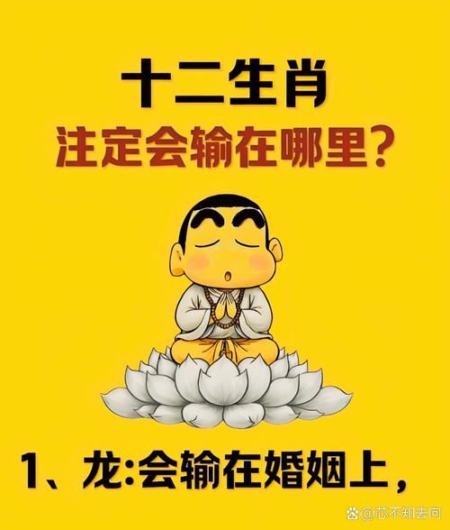 鼠和龙属相合不合_婚姻事业财运全面解析