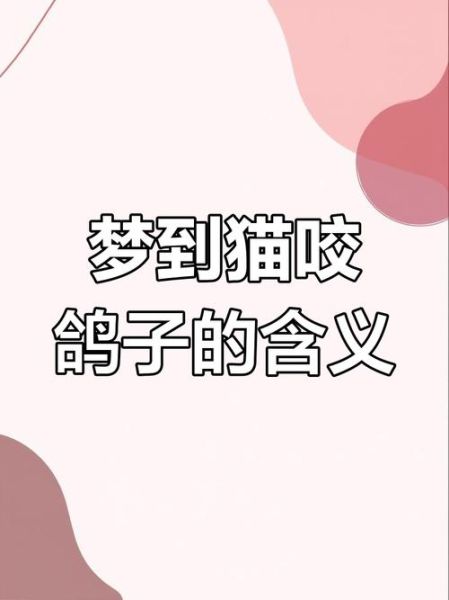 梦到鸽子咬我_梦见鸽子咬人是什么意思