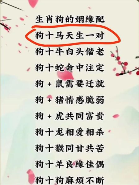 82年属狗婚姻配对_82年属狗婚配宜忌