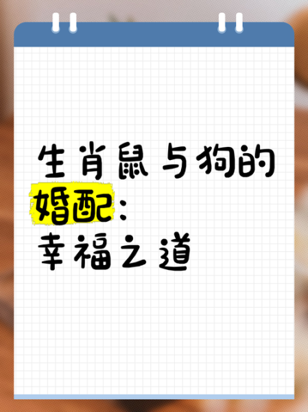 属狗和属鼠的合不合_婚姻财运全解析