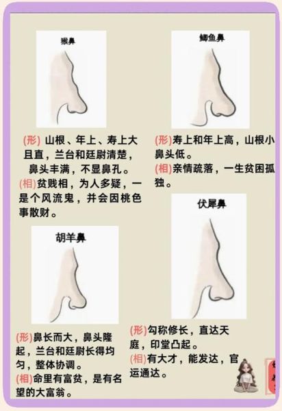有财运鼻子长什么样_怎么判断鼻子招财