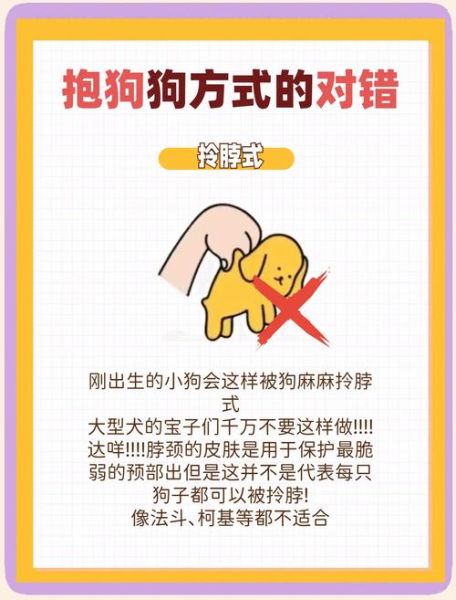 梦到抱狗狗是什么意思_梦到抱狗狗预示什么