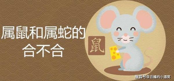 属蛇和属鼠的合不合_属蛇与属鼠婚姻配对